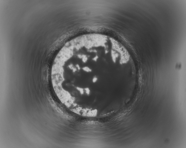 X0000112000637200909141102