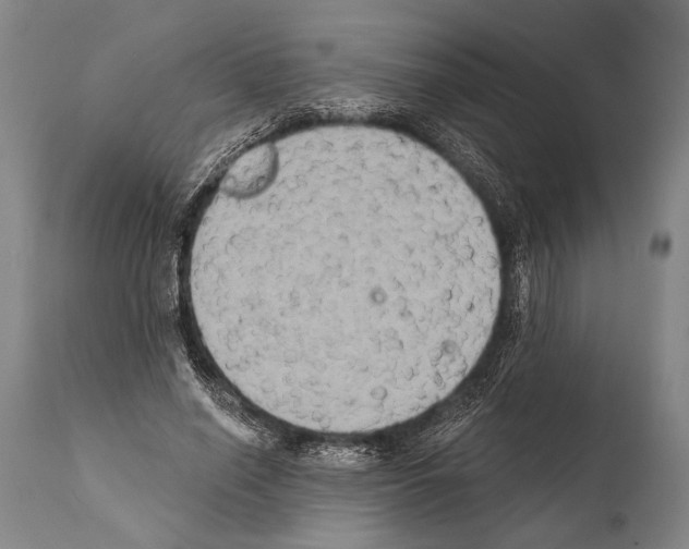 X0000112000638200909141102