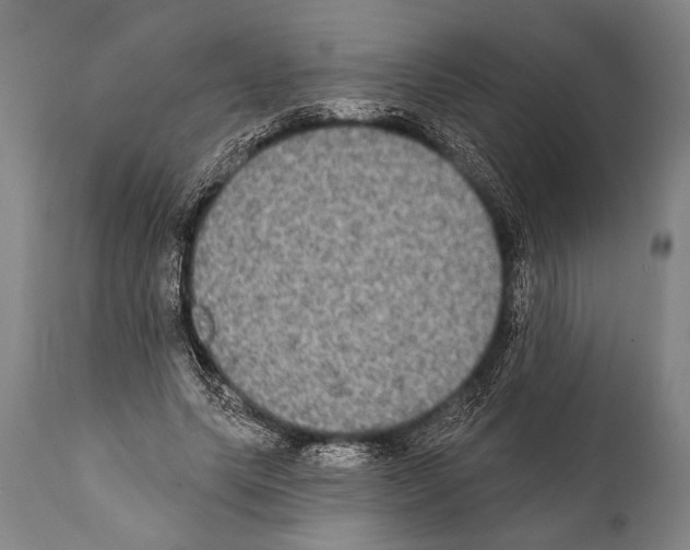 X0000112000639200909141102