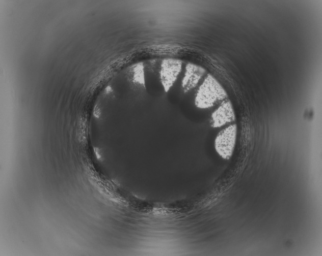 X0000112000641200909141102