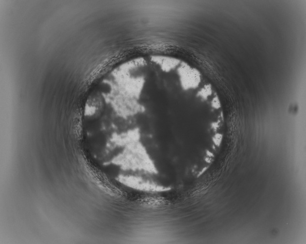 X0000112000642200909141102