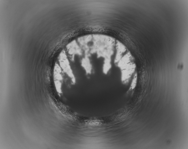 X0000112000643200909141102