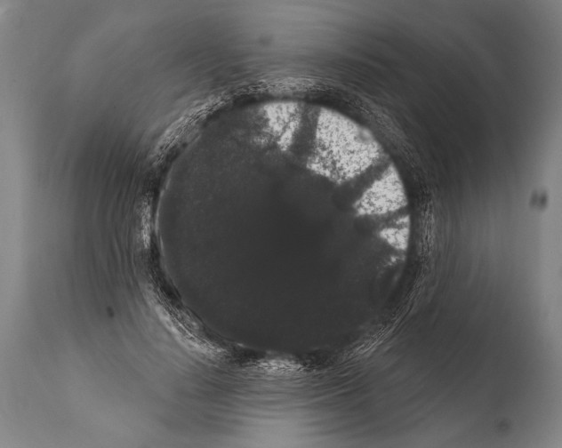 X0000112000644200909141102