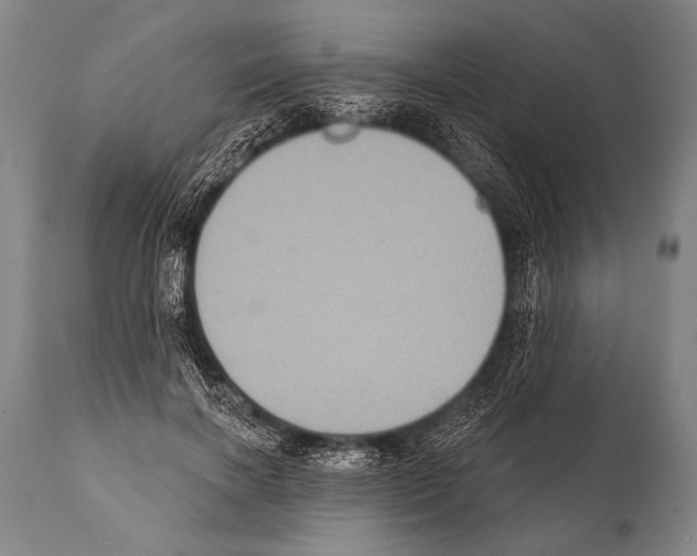 X0000112000646200909141102