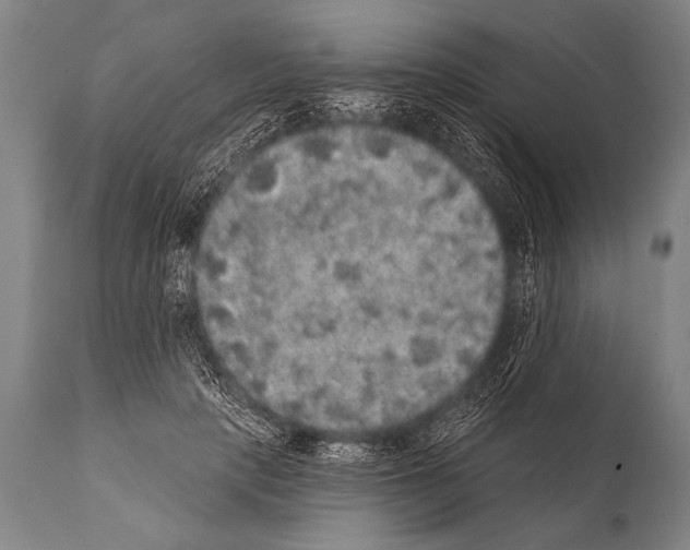 X0000112000649200909141102