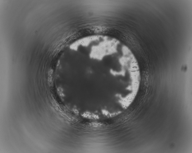 X0000112000650200909141102