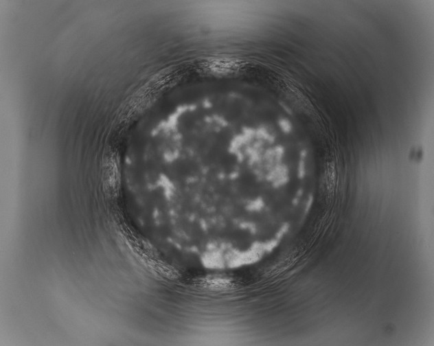 X0000112000651200909141102