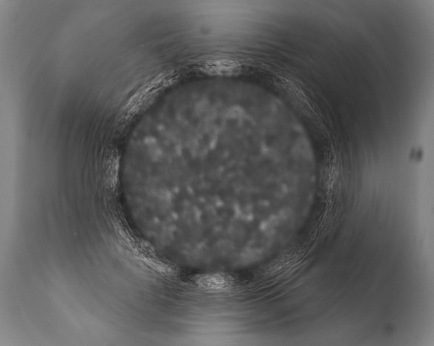 X0000112000652200909141102