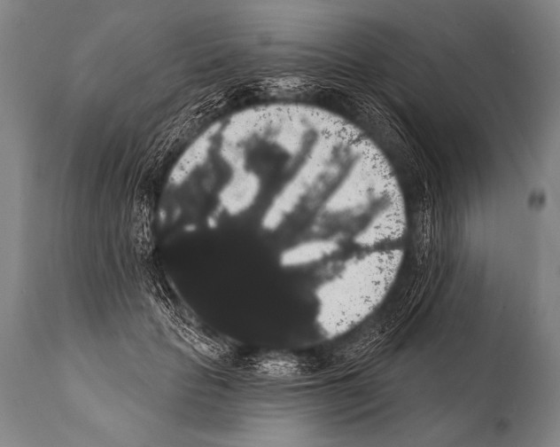 X0000112000653200909141102