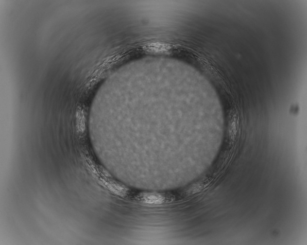 X0000112000658200909141102