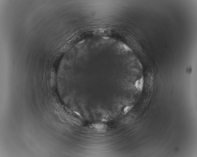 X0000112000659200909141102