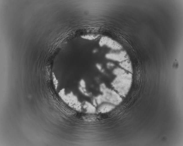 X0000112000661200909141102