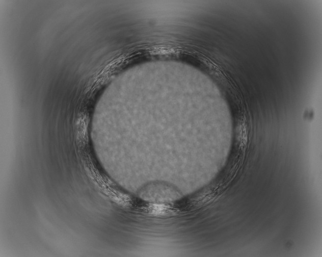 X0000112000662200909141102