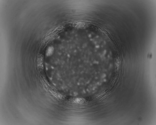 X0000112000663200909141102