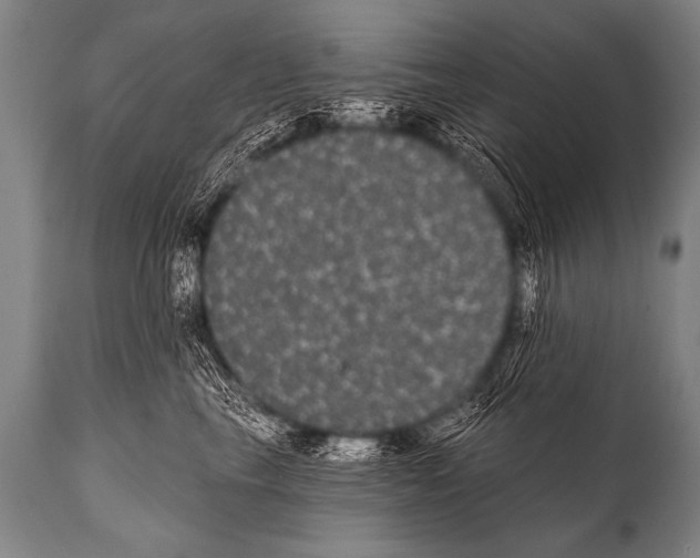 X0000112000665200909141102