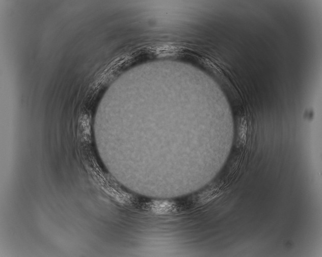 X0000112000667200909141102