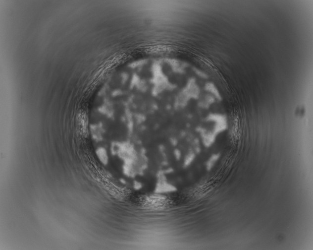 X0000112000669200909141103