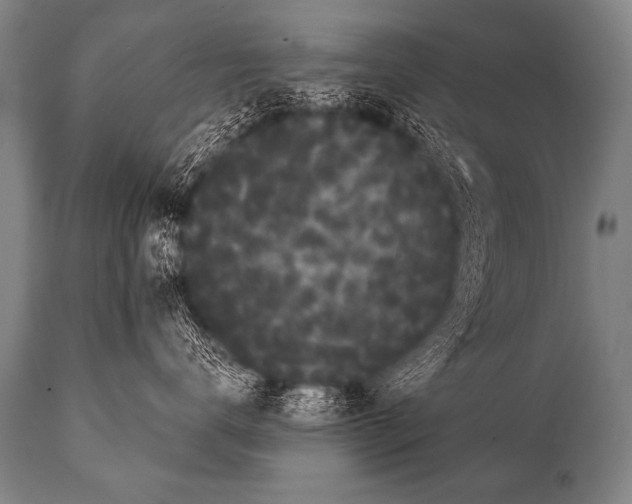 X0000112000672200909141103