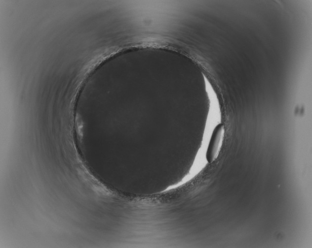 X0000112000673200909141102