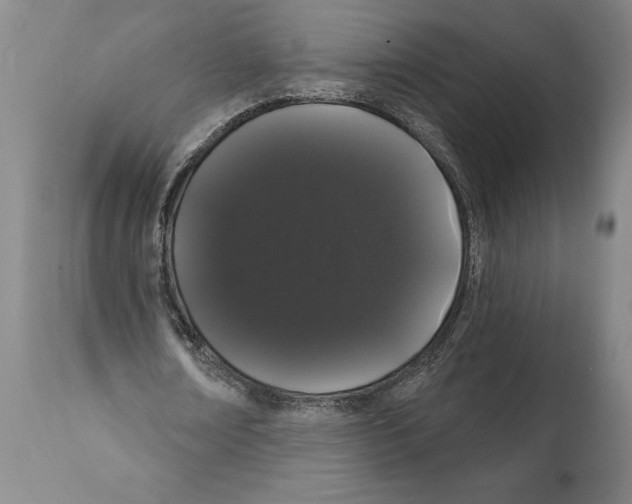 X0000112000674200909141102