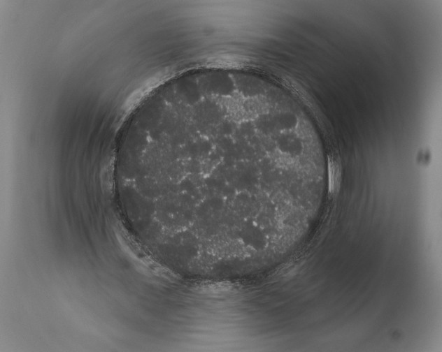 X0000112000675200909141102