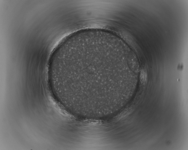 X0000112000676200909141102