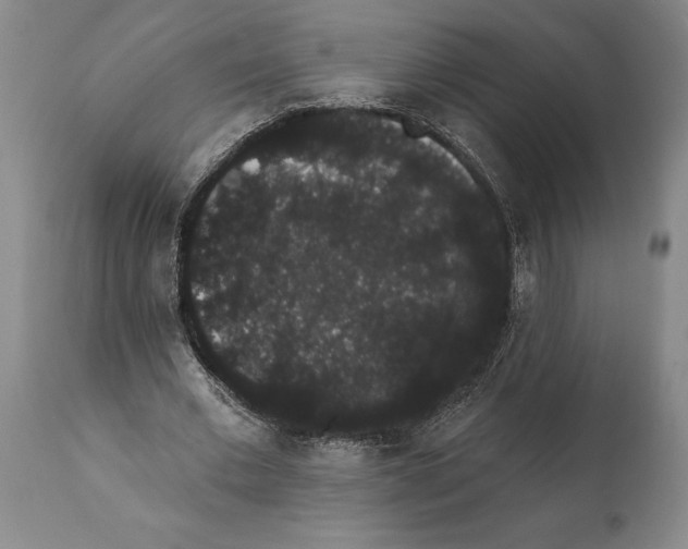 X0000112000677200909141102