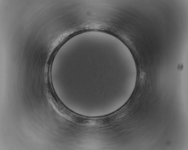 X0000112000678200909141102