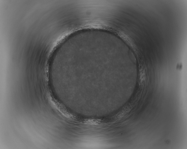 X0000112000680200909141102