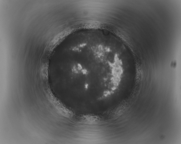 X0000112000681200909141102