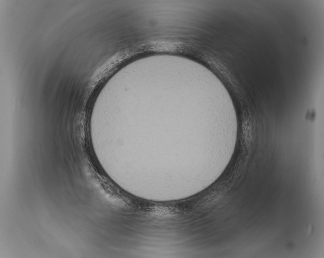 X0000112000682200909141101