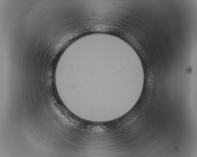 X0000112000683200909141101