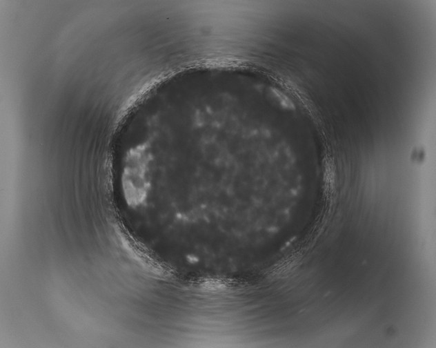 X0000112000684200909141101