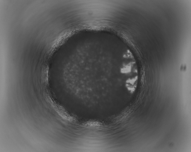 X0000112000685200909141101