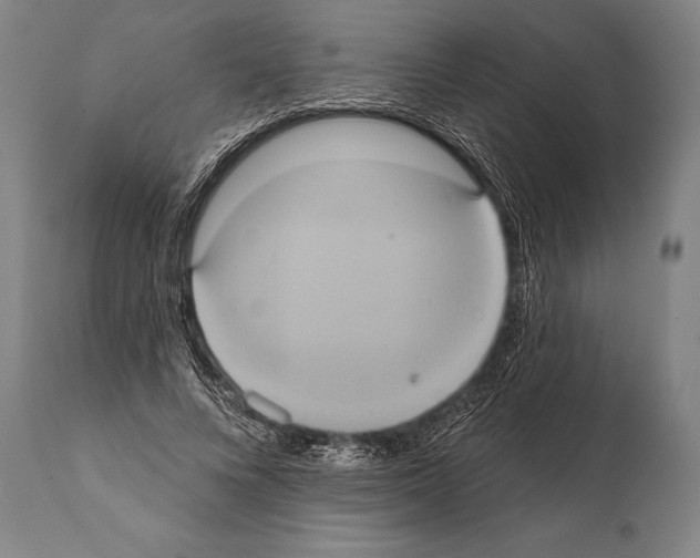 X0000112000688200909141101