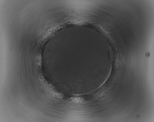 X0000112000689200909141101