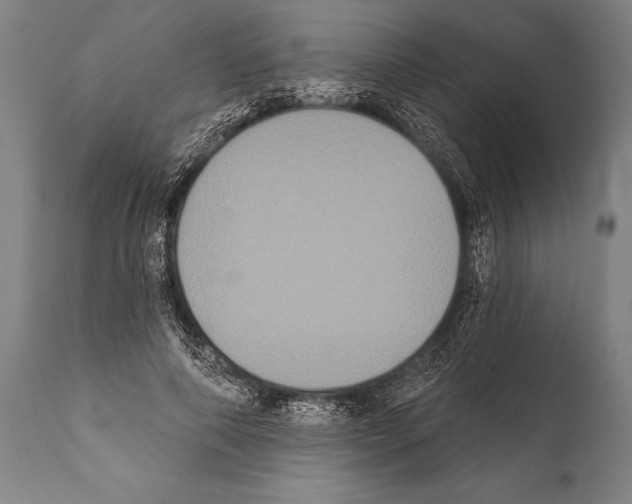 X0000112000690200909141101