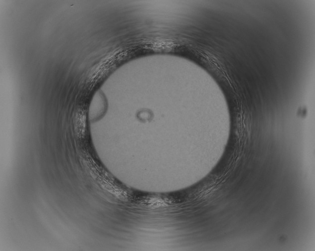 X0000112000697200909141101