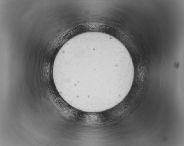 X0000112000698200909141101