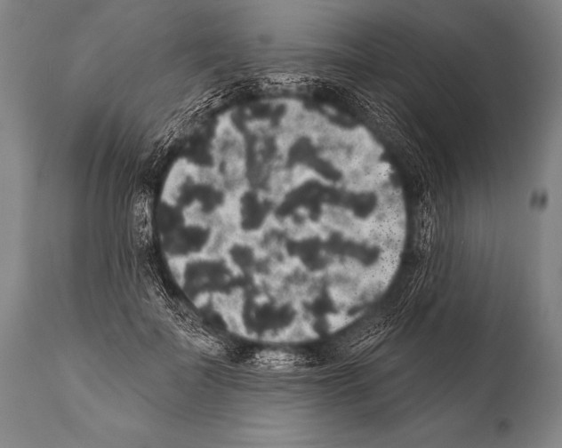 X0000112000699200909141101