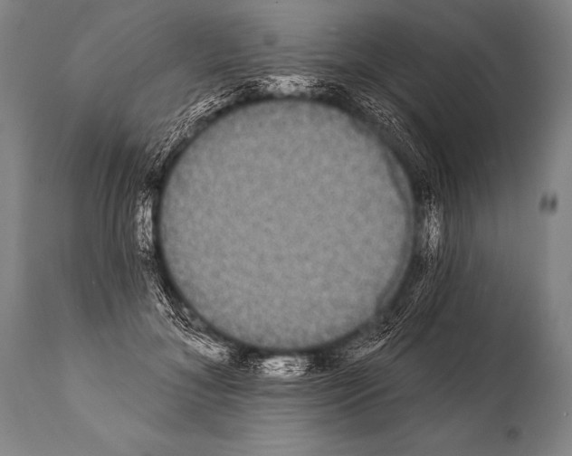 X0000112000700200909141101