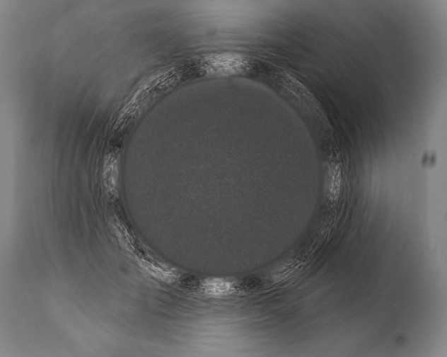 X0000112000701200909141101