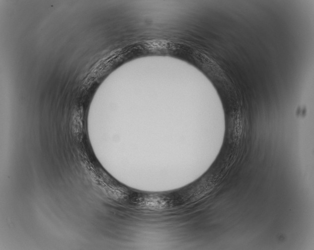 X0000112000702200909141101