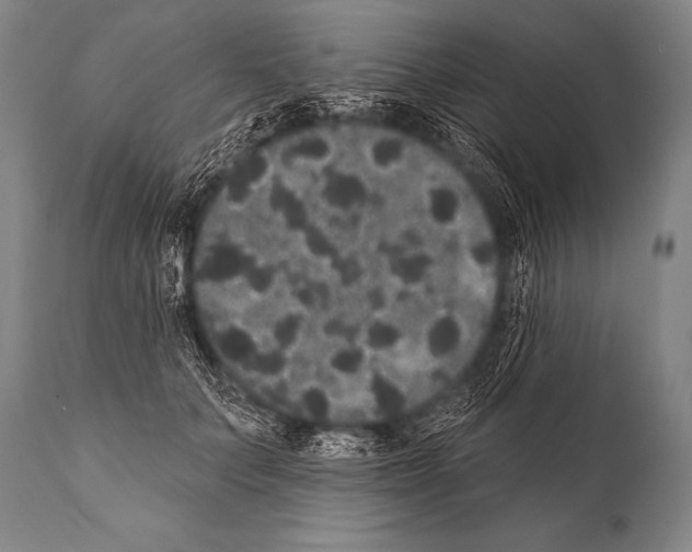 X0000112000703200909141101