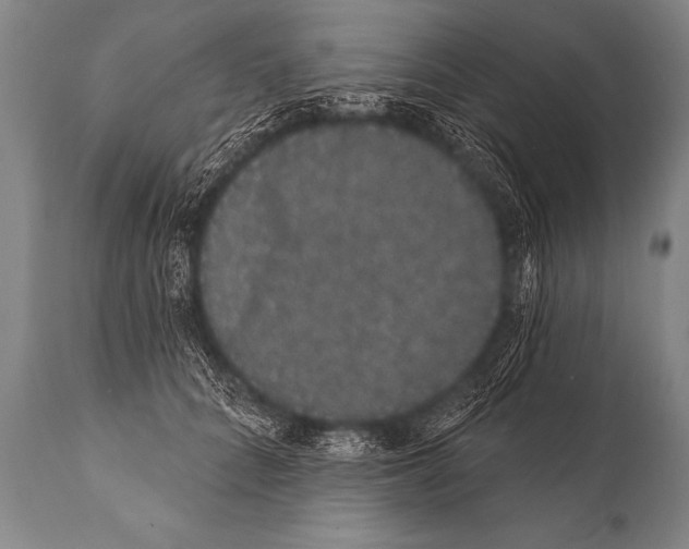 X0000112000704200909141101