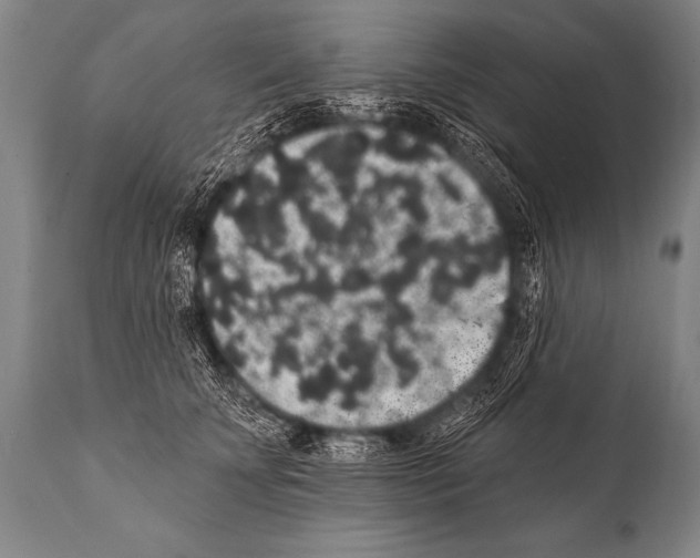 X0000112000707200909141101