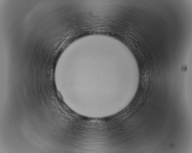 X0000112000708200909141101