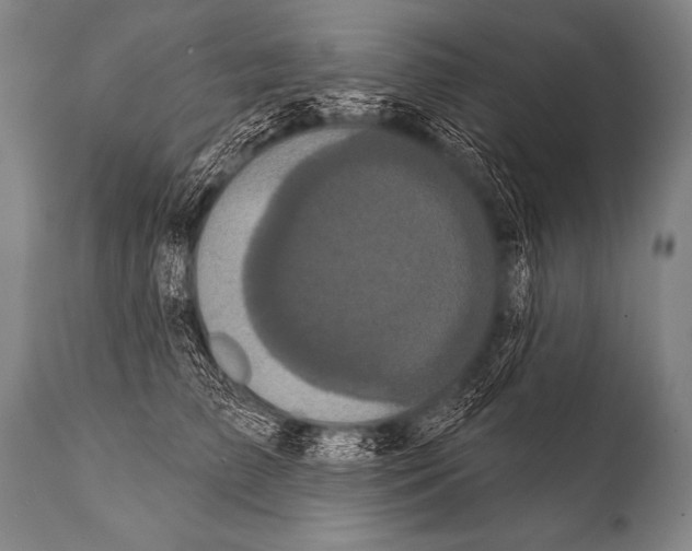 X0000112000709200909141101