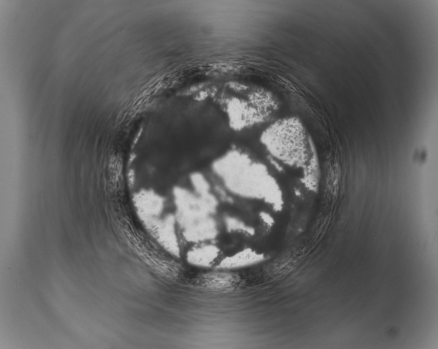 X0000112000711200909141101