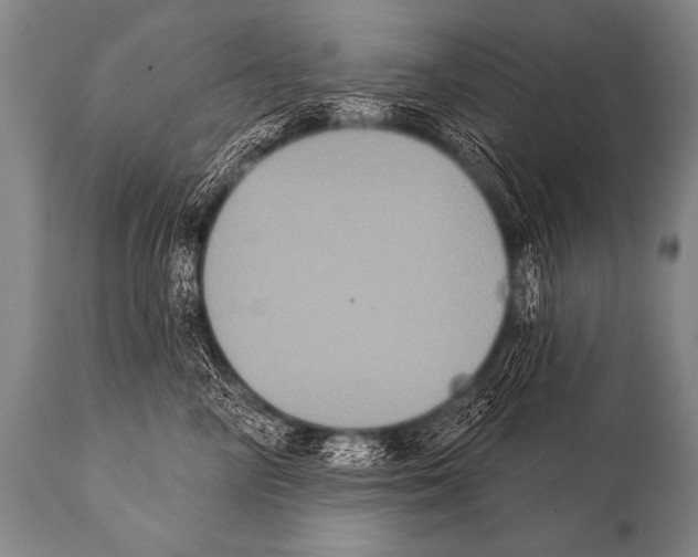 X0000112000714200909141101